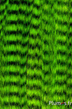 Extensions synthétiques - 40 cm, clip 3 couleurs - vert